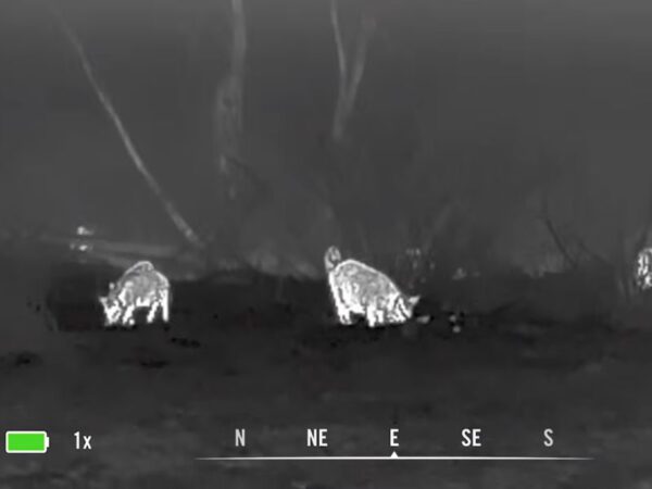 Особливості конструкції монокуляра-тепловізору Vortex Veil 400 Thermal Monocular
