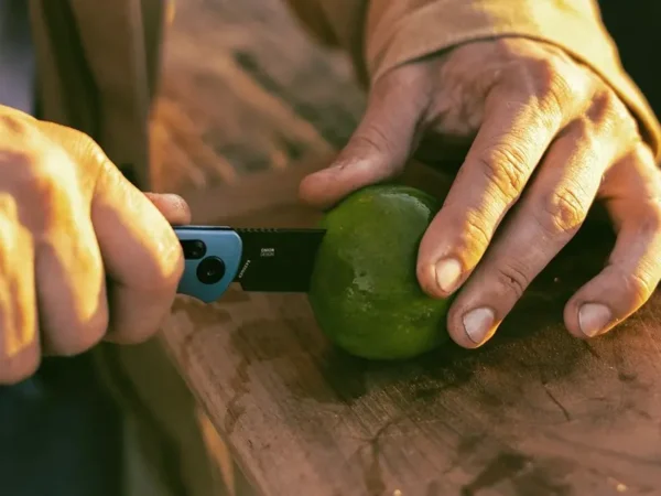 Ціна на складані ножі Benchmade Bugout починається від 200 доларів і вище