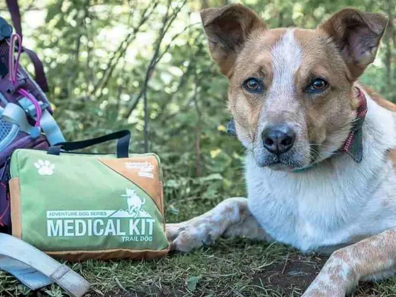 Аптечка первой помощи для собак Adventure Medical Kits Adventure Dog Series: Trail Dog Medical Kit